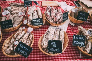 Svatomartinské slavnosti 2025